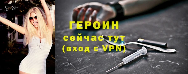 индика Киреевск