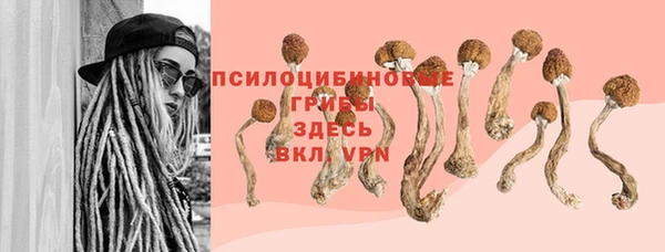 меф Козельск