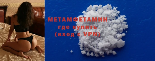 индика Киреевск