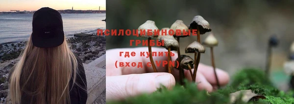 дживик Кинешма