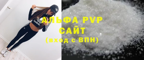 индика Киреевск