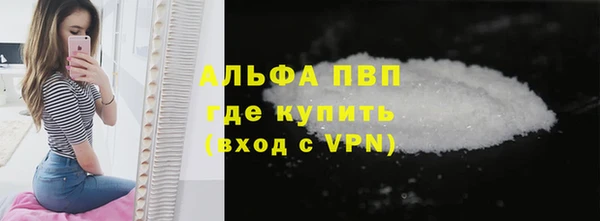 индика Киреевск