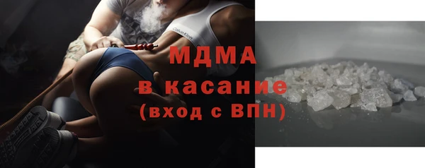 индика Киреевск