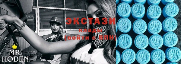 индика Киреевск
