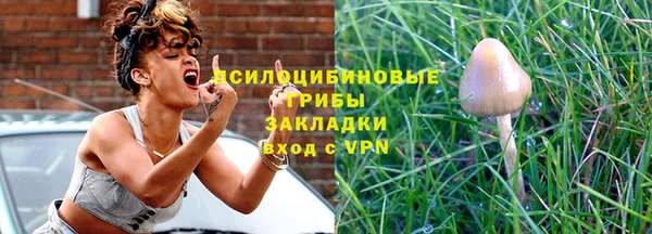 дживик Кинешма