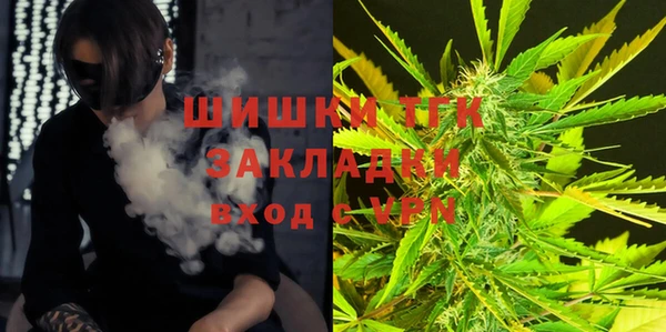индика Киреевск