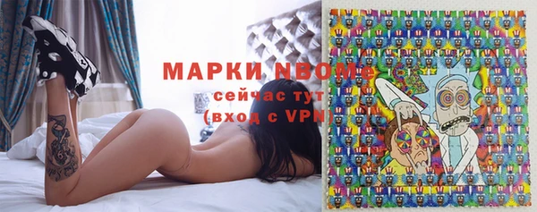 индика Киреевск
