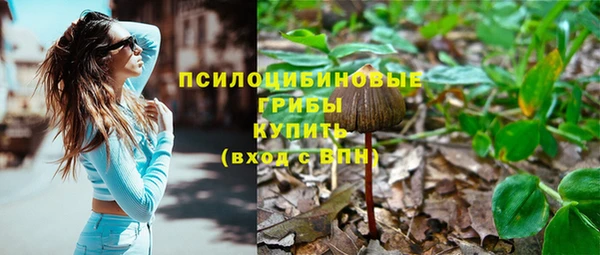 индика Киреевск