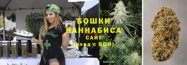 дживик Кинешма