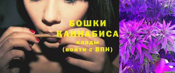 дживик Кинешма