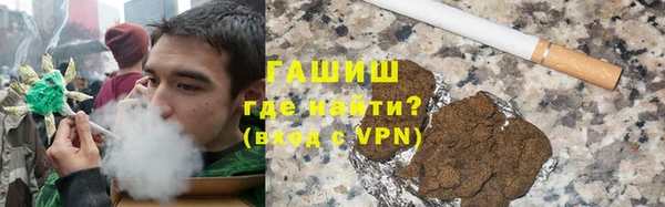 индика Киреевск