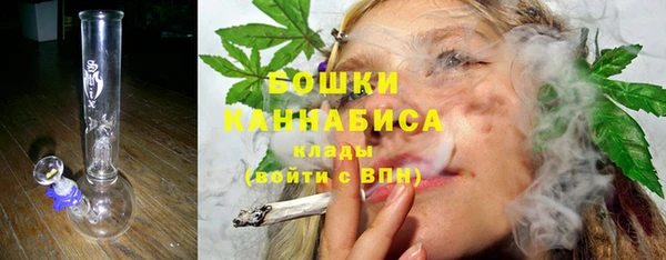 индика Киреевск