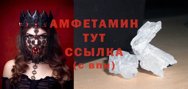 индика Киреевск