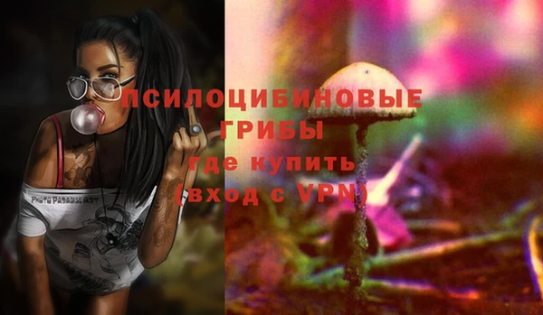 индика Киреевск