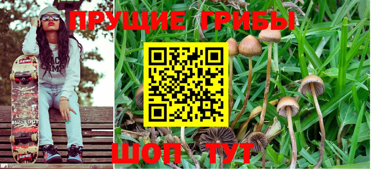 Ливны  Галлюциногенные грибы MAGIC MUSHROOMS  Псилоцибиновые грибы мицелий  Вход с VPN 